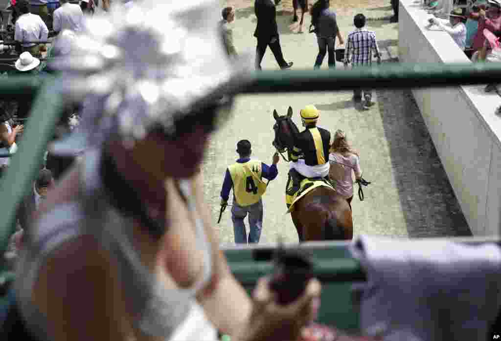 A race horse is led out to the track for a race before the 140th running of the Kentucky Derby horse race at Churchill Downs in Louisville, Kentucky, May 3, 2014.