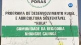 Malanje na produçäo agrícola orgânica