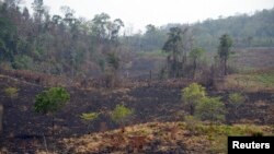 ARCHIVO - Guatemala, como otros países de la región, hace frente a desastres ecológicos por lo que cooperantes -como entes del sector privado- buscan invertir en proyectos forestales en el país. Esta imagen de la selva del Petén muestra también rutas del narcotráfico.