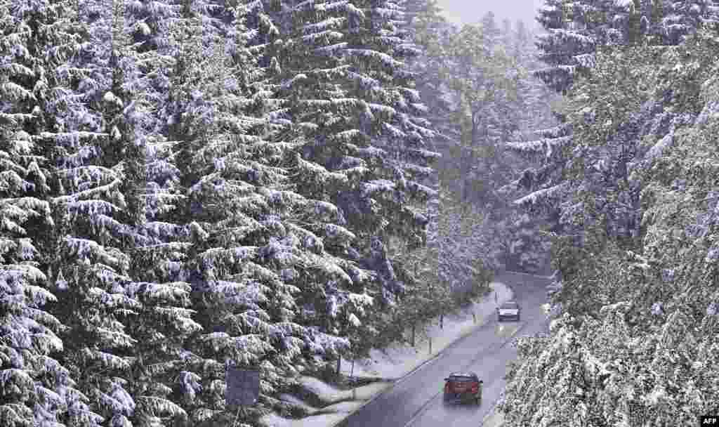 First snow of the season covers trees next to a country road near Zwoenitz, eastern Germany.