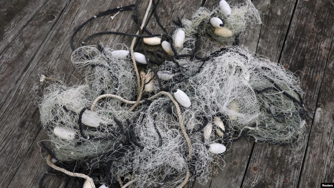 Fishing nets lie at a dock in Wanchese, North Carolina, May 30, 2017.