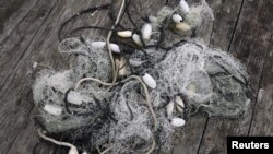 Fishing nets lie at a dock in Wanchese, North Carolina, May 30, 2017.