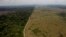 This Sept. 15, 2009 file photo shows a deforested area near Novo Progresso in Brazil's northern state of Para.Deforestation in the tropics is increasing by 2,000 square kilometers a year with half that loss in Brazil and Indonesia. 