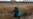 Asylum Camp Swells at US-Mexico Border; Biden Aide Urges Patience