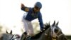 Essential Quality Crosses Finish Line First in Belmont Stakes
