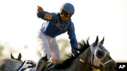 Jockey Luis Saez reacts after crossing the finish line atop Essential Quality to win the 153rd running of the Belmont Stakes horse race, June 5, 2021, at Belmont Park in Elmont, N.Y. 