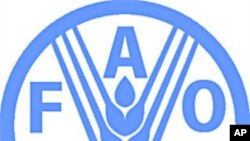 FAO, 동아시아 구제역 긴급회의 소집, 북한도 초청