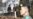 South Korea Fires Warning Shots at North Korean Ship