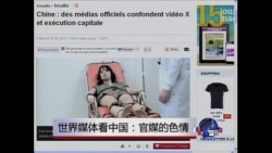 世界媒体看中国: 官媒的色情 