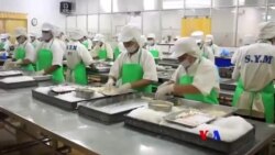 အစားအသောက် ဘေးကင်းလုံခြုံရေး