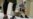 16x9 Image