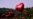 Este año coinciden el Miércoles de Ceniza y el Día de San Valentín ¿Cuál tiene prioridad?