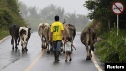 El tema agrario es uno de los puntos de agenda que negocian la guerrilla y el Gobierno colombianos.