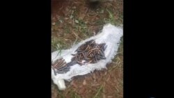 Traficante de armas moçambicano condenado na África do Sul