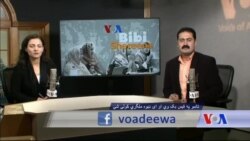 بي بي شیرینه – وي او اې ډيوه په ټیلې ویژن