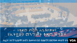 የቅድመ ምርጫ አቤቱታዎችና - የኢትዮጵያ መንግሥት ቅድመ ዝግጅት