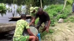 Le braconnage d'éléphants au Gabon