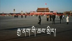 རྒྱ་ནག་གི་ཆབ་སྲིད་གནས་སྟངས་དང་ཨ་རིའི་ཤུགས་རྐྱེན།