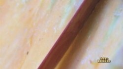 Чудовиська із гарбузів-велетнів