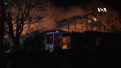 三名婦女放天燈導致德國動物園大火導致30多隻動物死亡