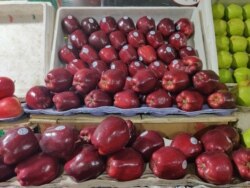 Apples from the U.S. were among the 28 products that India slapped with retaliatory tariffs as a trade dispute with the U.S. intensifies. (Anjana Pasricha/VOA)