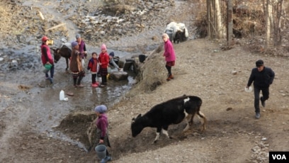 Styuardessalar bilan porno