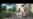 16x9 Image