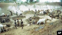 During the dry part of the year, when the water table drops, the Nyangatom, Mursi and other tribes of the area dig deep holes in river beds to water their cattle and to get drinking water.