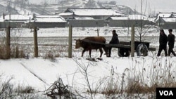 Soldados de Corea del Norte vigilan una de las zonas fronterizas.