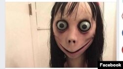 Trend media sosial “Momo Challenge” kini meresahkan di Amerika dan seluruh dunia (foto: Durham Emergency Communications Center).