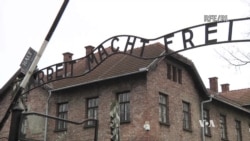 The Woman Who Survived a Nazi Death Camp By Mistake