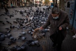 A woman wearing a protective face mask feeds birds in Las Ramblas of Barcelona, Spain, March 21, 2020. For some people the novel coronavirus causes mild or moderate symptoms, but for some it causes severe illness.