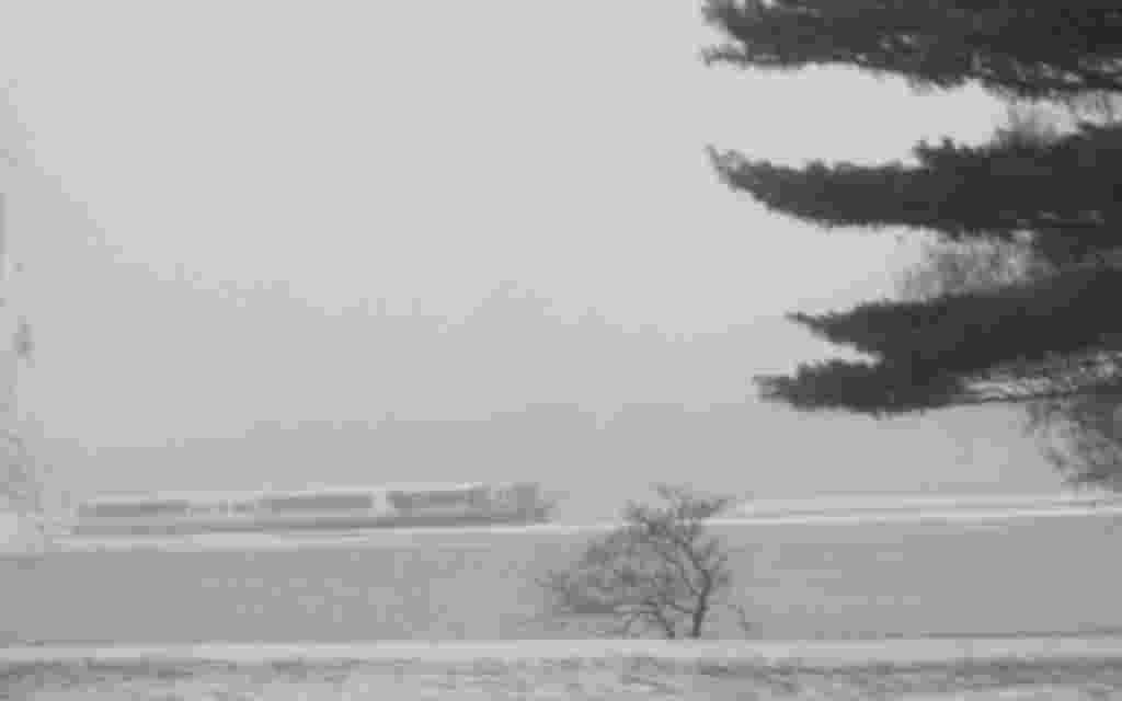 Washington se tiñe de blanco bajo una escasa capa de nieve.