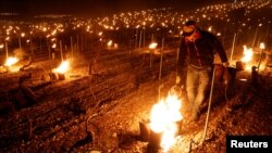 A wine grower lights heaters early in the morning, to protect vineyards from frost damage outside Chablis, France, April 7, 2021.