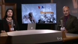 بي بي شیرینه – د ډیوه ریډیو په ټی وي خپرونه