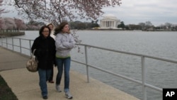 Marchers walked along the Tidal Basin in Washington, DC in support of Japan's victims