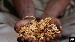 Mkulima wa India akiwa ameshikilia jozi tayari kuwaonesha wanunuzi wa jumla jumla