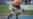 El hombre más rápido sin piernas correrá en Londres 2012