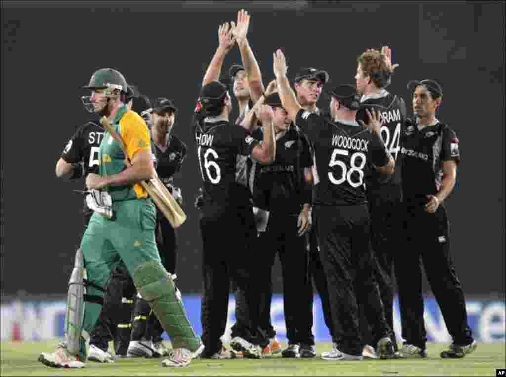 کرکٹ: جنوبی افریقہ - نیوزی لینڈ