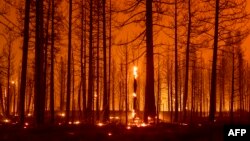 California eyaletinin kuzeyindeki Greenville kasabası yakınında meydana gelen ve Dixie Yangını olarak adlandırılan orman yangını sırasında 3 Ağustos 2021 tarihinde çekilen bir fotoğraf