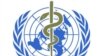 WHO Denies Conflict in Manufacture of Swine-Flu Vaccine 