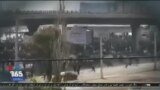 اخبار شبانگاهی