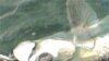 16x9 Image