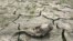 A dead fish on the cracked bed of a reservoir after months of severe drought, Seoul, South Korea, June 26, 2012.