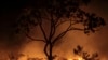 Amazon Burning: Brazil Reports Record Forest Fires