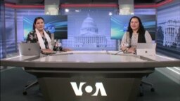بي بي شیرینه: په ټیلې ویژن
