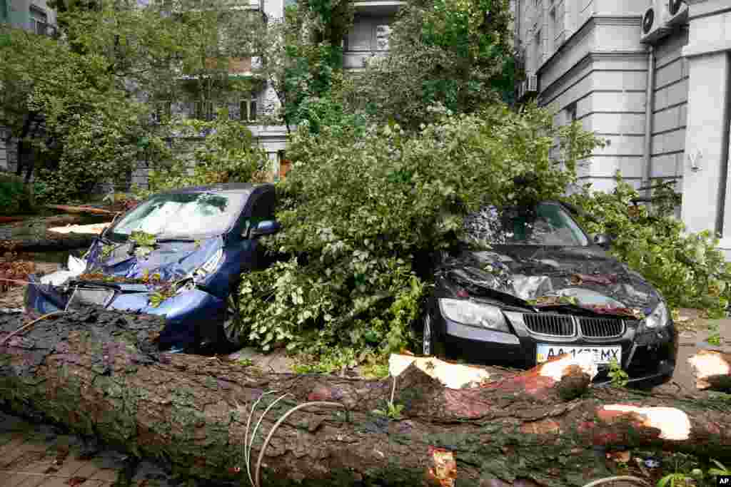 شهر کی‌یف پایتخت اوکراین شاهد بادهای شدید بود که خساراتی نیز برجای گذاشت. 