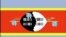 Swaziland's Flag