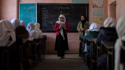 Ayollar olomonining mushukini yalash