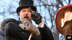 Groundhog Club handler A.J. Dereume holds Punxsutawney Phil, the weather prognosticating groundhog, during the 139th celebration of Groundhog Day on Gobbler's Knob in Punxsutawney, Pa., Feb. 2, 2025. 